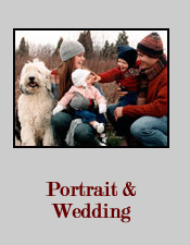 portrait & wedding